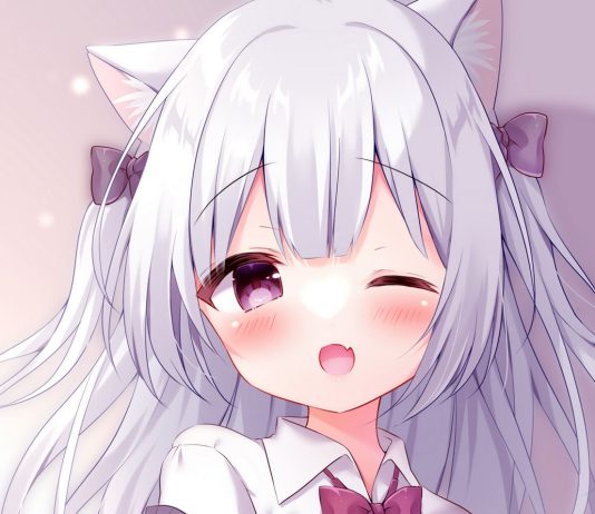 Cute Quotes to Inspire You Every Day