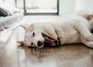 Funny Senior Quotes to Make Your Yearbook Stand Out