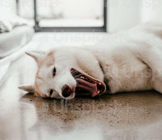 Funny Senior Quotes to Make Your Yearbook Stand Out