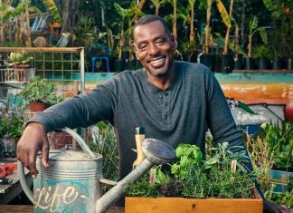 Genius Gardening Gifts Ideas for Plant Parents