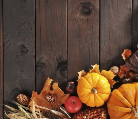 Giving Thanks: Thanksgiving Messages