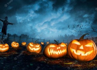 Halloween Quotes to Spook and Delight You