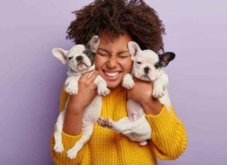 Heartwarming Dog Quotes to Celebrate Our Furry Friends