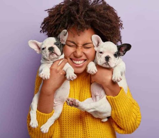 Heartwarming Dog Quotes to Celebrate Our Furry Friends