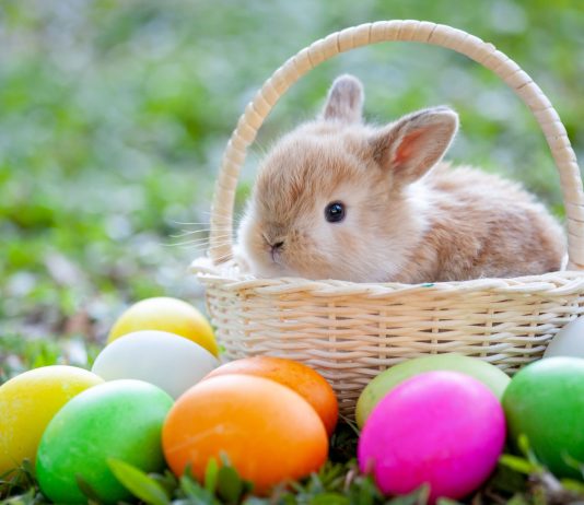 Hippity Hoppity Easter Messages