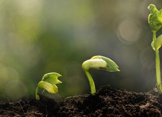 Inspirational Quotes for Spiritual Growth