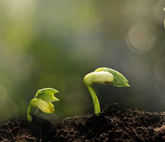 Inspirational Quotes for Spiritual Growth