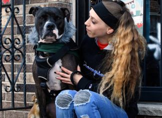 Life with Pets: Navigating the Joys and Challenges of Pet Ownership