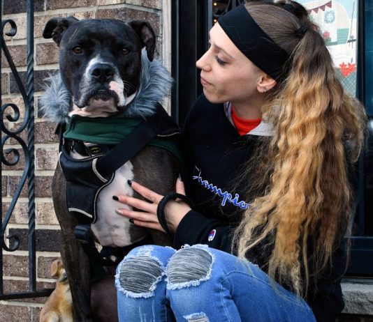 Life with Pets: Navigating the Joys and Challenges of Pet Ownership