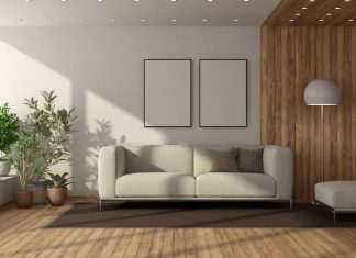 Oversized Plants Everyone Needs in Their Home