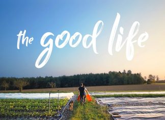 Quotes for Good Life to Live Each Day to the Fullest