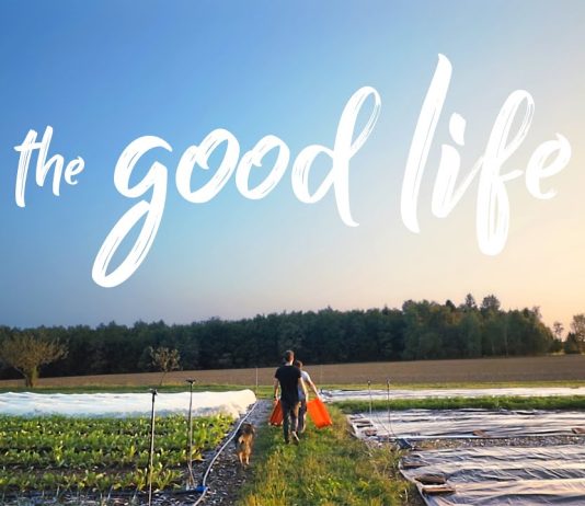 Quotes for Good Life to Live Each Day to the Fullest