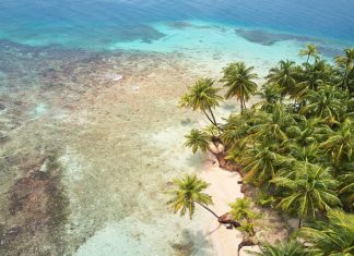 Sarcastic Quotes to Brighten Your Day with Humor