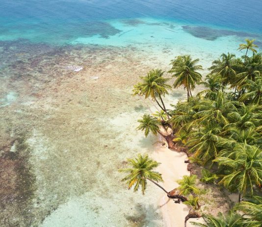 Sarcastic Quotes to Brighten Your Day with Humor