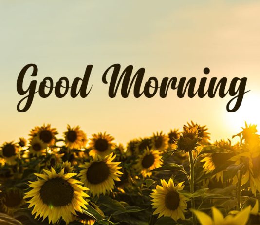 Start the Day Right with Meaningful Good Morning Messages