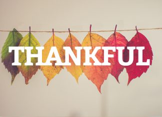 Thankful Quotes to Brighten Your Day