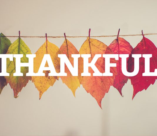 Thankful Quotes to Brighten Your Day