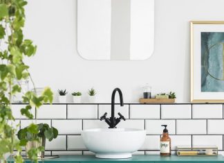 The Best Bathroom Plants to Have in Your Home