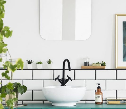 The Best Bathroom Plants to Have in Your Home