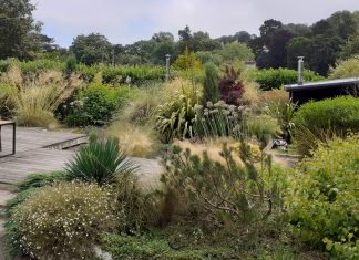 The Best Plants Every Garden Needs to Thrive