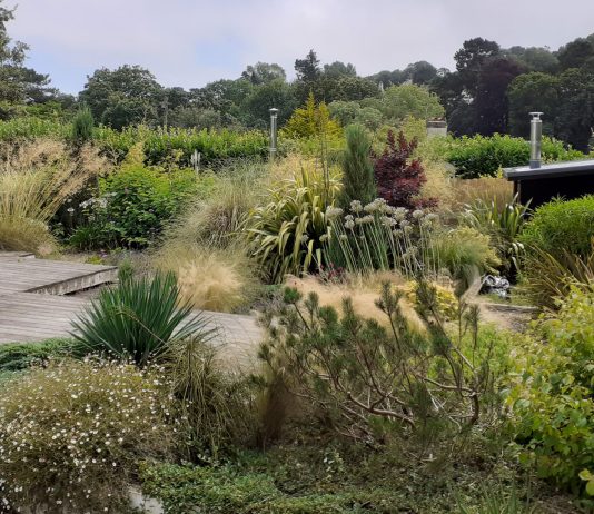 The Best Plants Every Garden Needs to Thrive