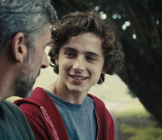 Top Movies with Timothée Chalamet That Will Melt Your Heart