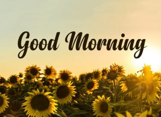 Wisdom Good Morning Quotes: Motivational Quotes to Start Your Day with Wisdom