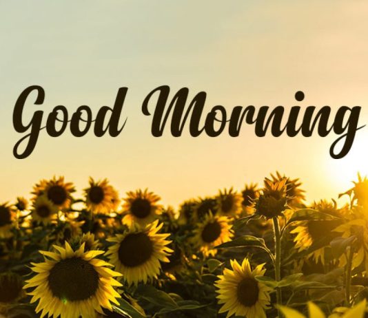 Wisdom Good Morning Quotes: Motivational Quotes to Start Your Day with Wisdom