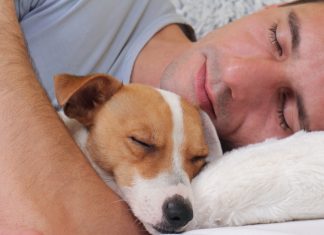 Your Guide to Optimal Health: Strategies for Boosting Energy and Vitality